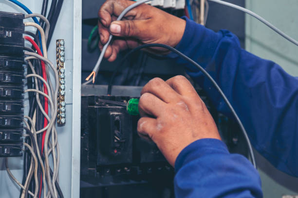 Best Electric Panel Repair  in Brownlee Park, MI