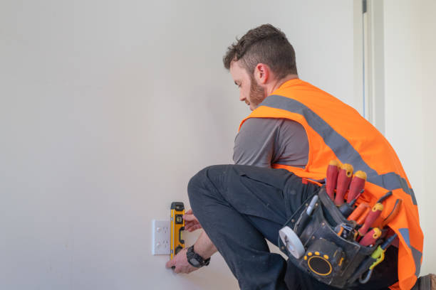 Best Electrical Installation Contractor  in Brownlee Park, MI