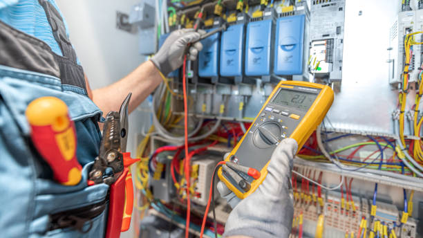 Best Licensed Electrician  in Brownlee Park, MI