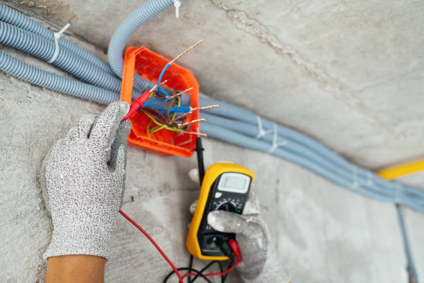 Best Emergency Electrical Repair  in Brownlee Park, MI