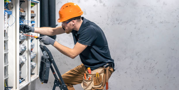 Best Electrical Troubleshooting Services  in Brownlee Park, MI