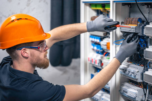Best Ceiling Fan Installation Electrician  in Brownlee Park, MI